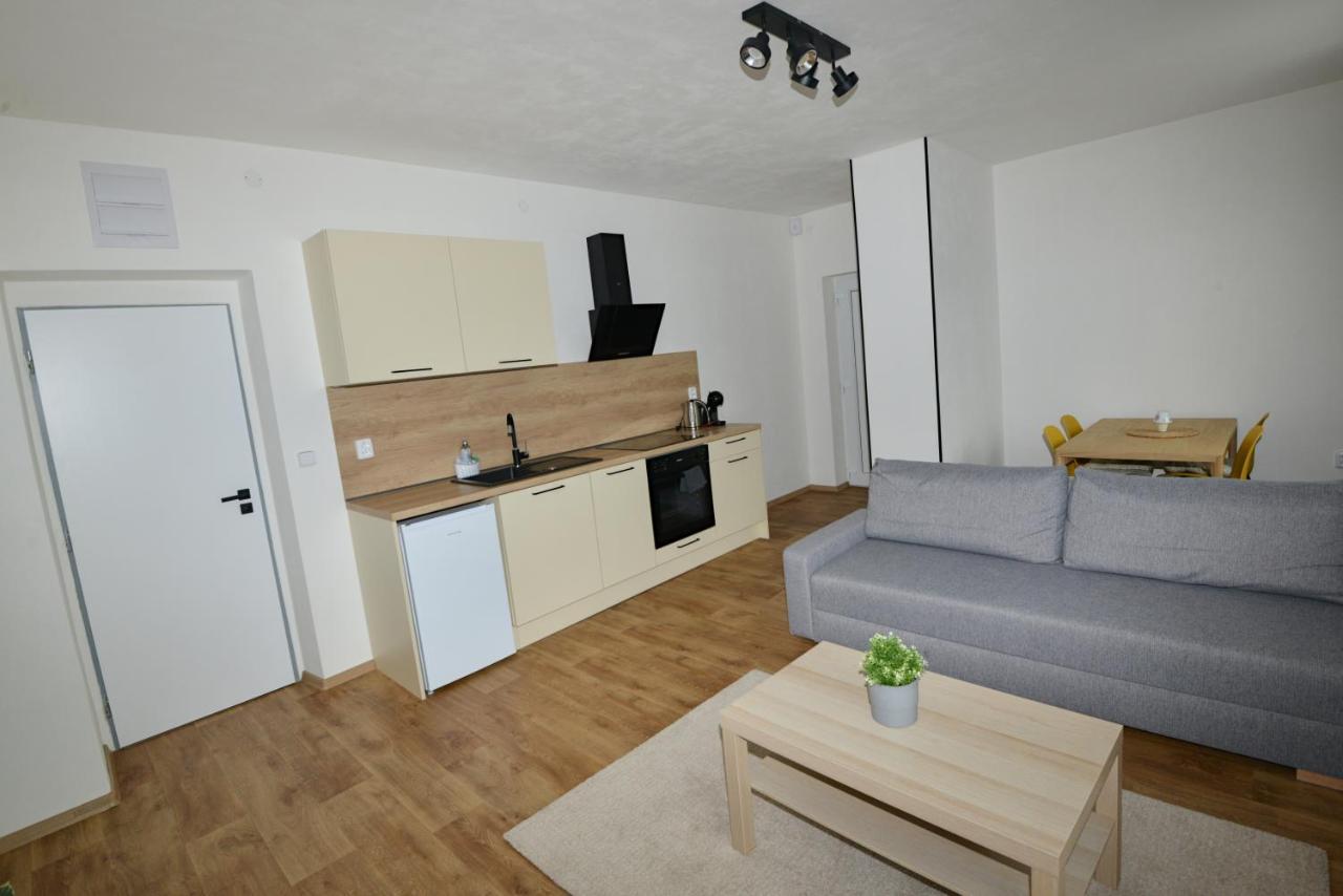 Apartmany U Peslu Železná Ruda Eksteriør bilde