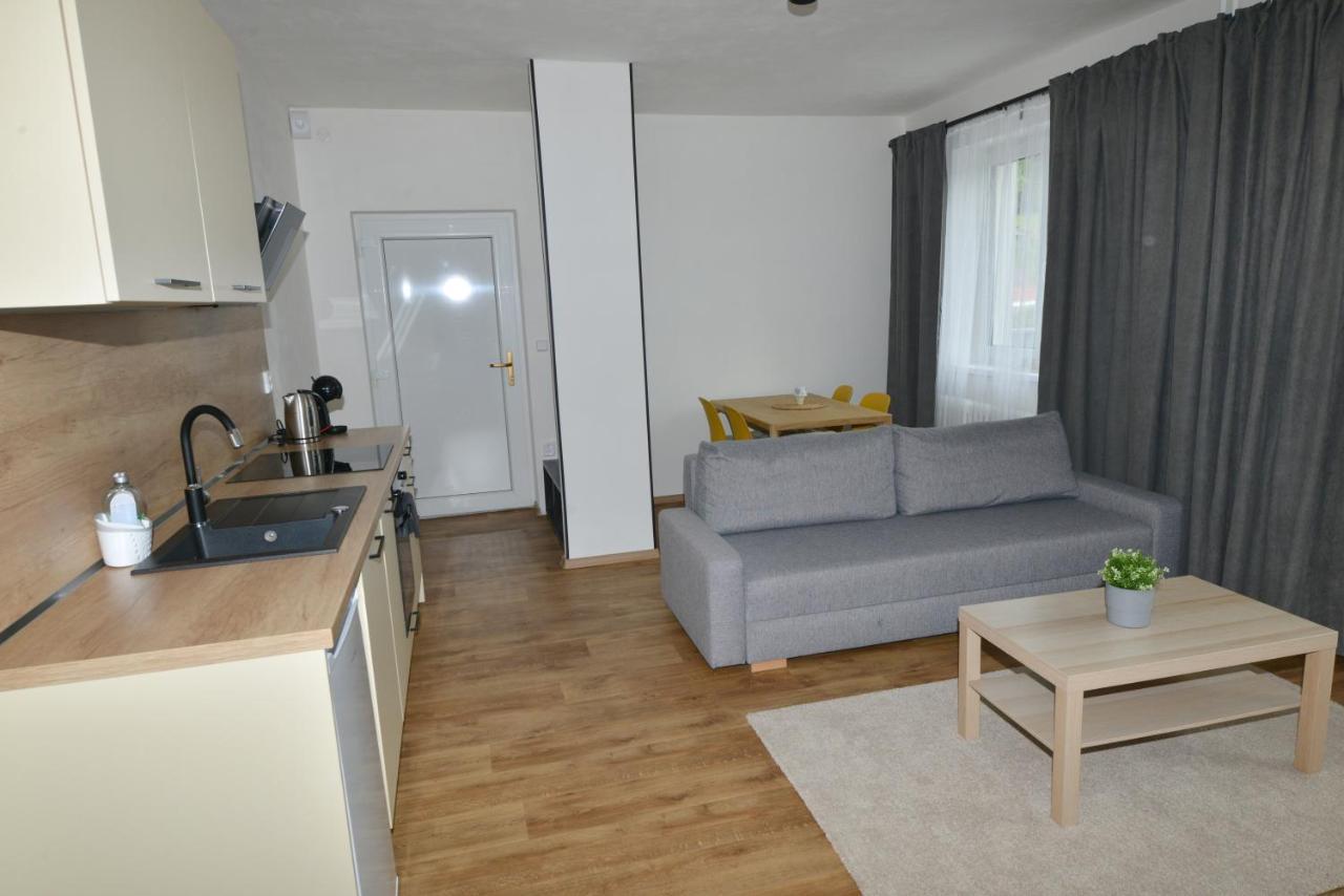 Apartmany U Peslu Železná Ruda Eksteriør bilde